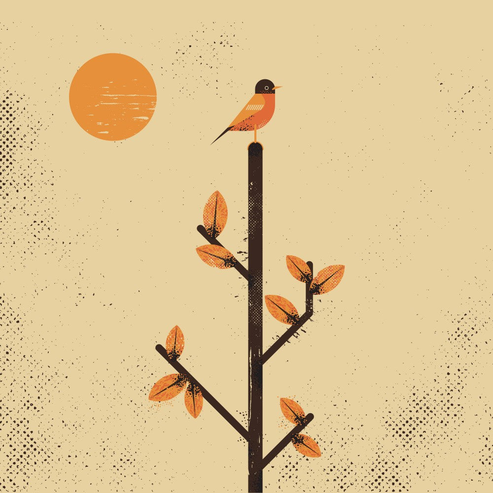 Migration