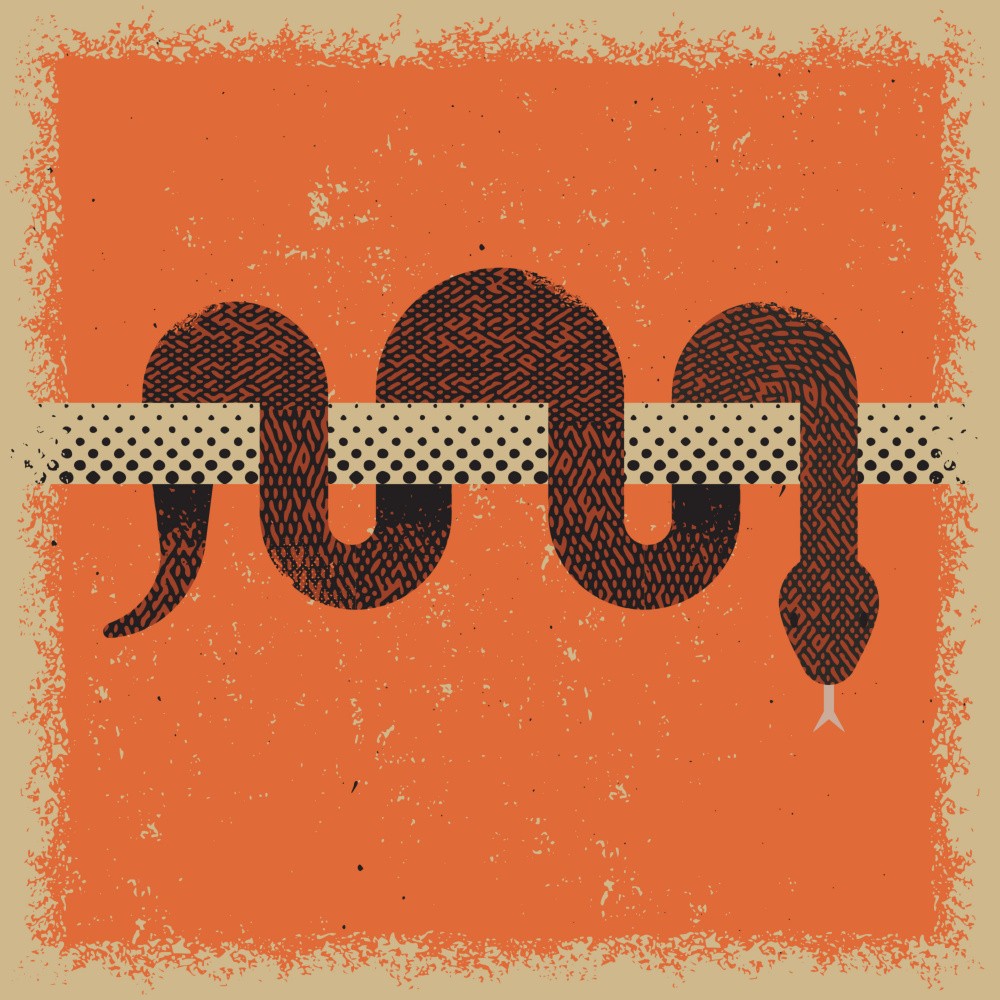 Snake 2