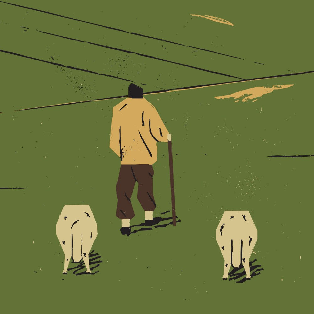 Shepherd