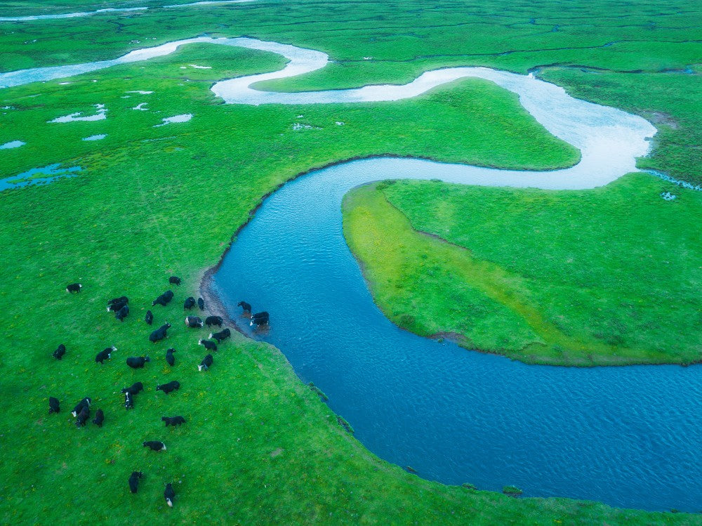  crooked river