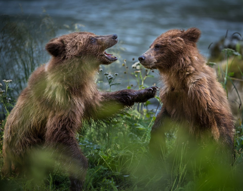 Brother, Calm down!  I'm listening.