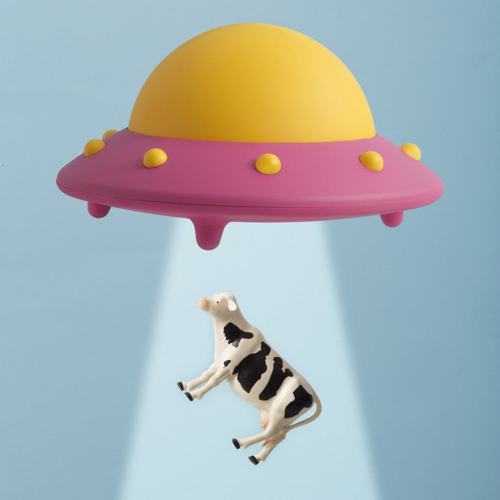 Abducted Cow