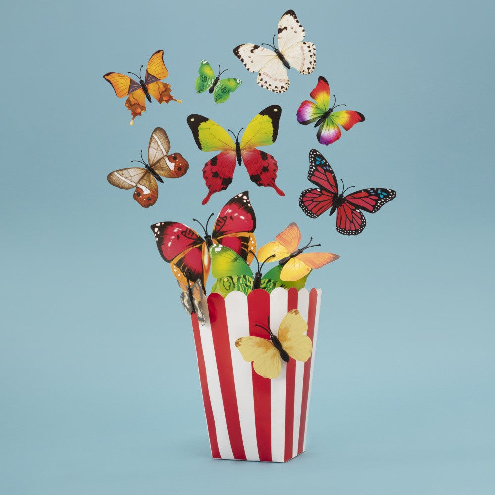 Popflies