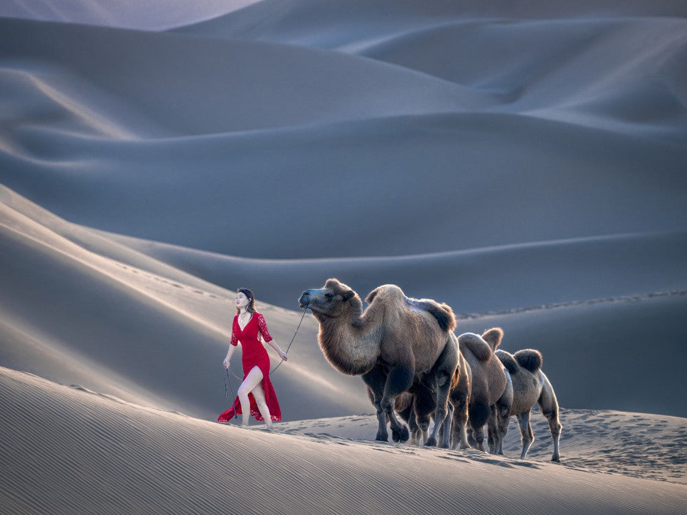 牵骆驼的人