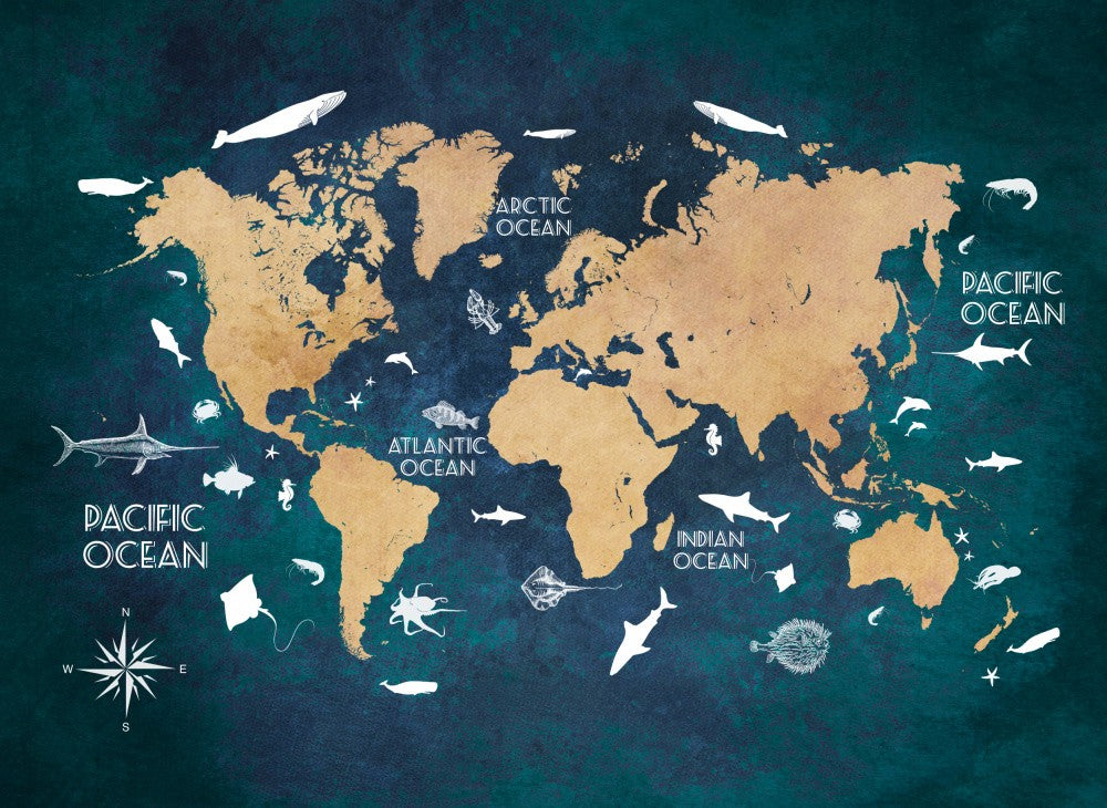 World map 3