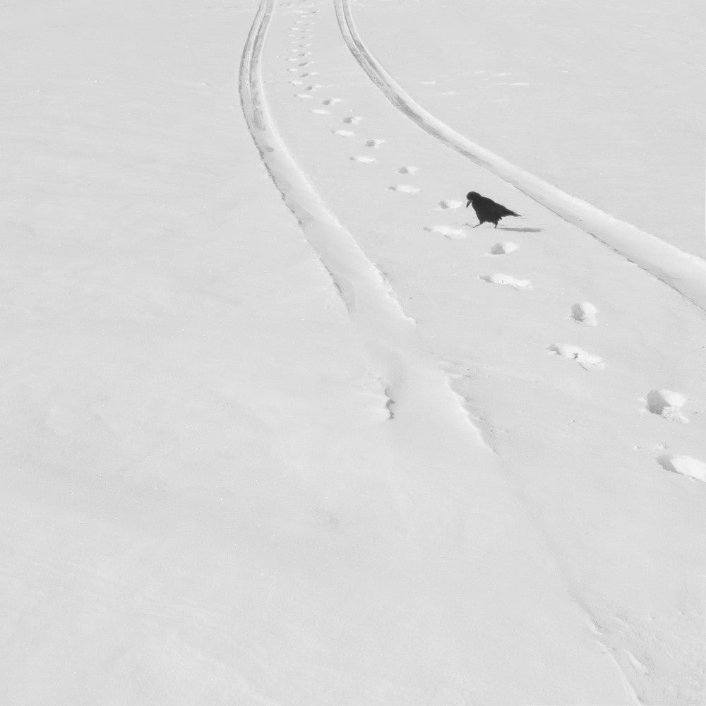 Poems of silence