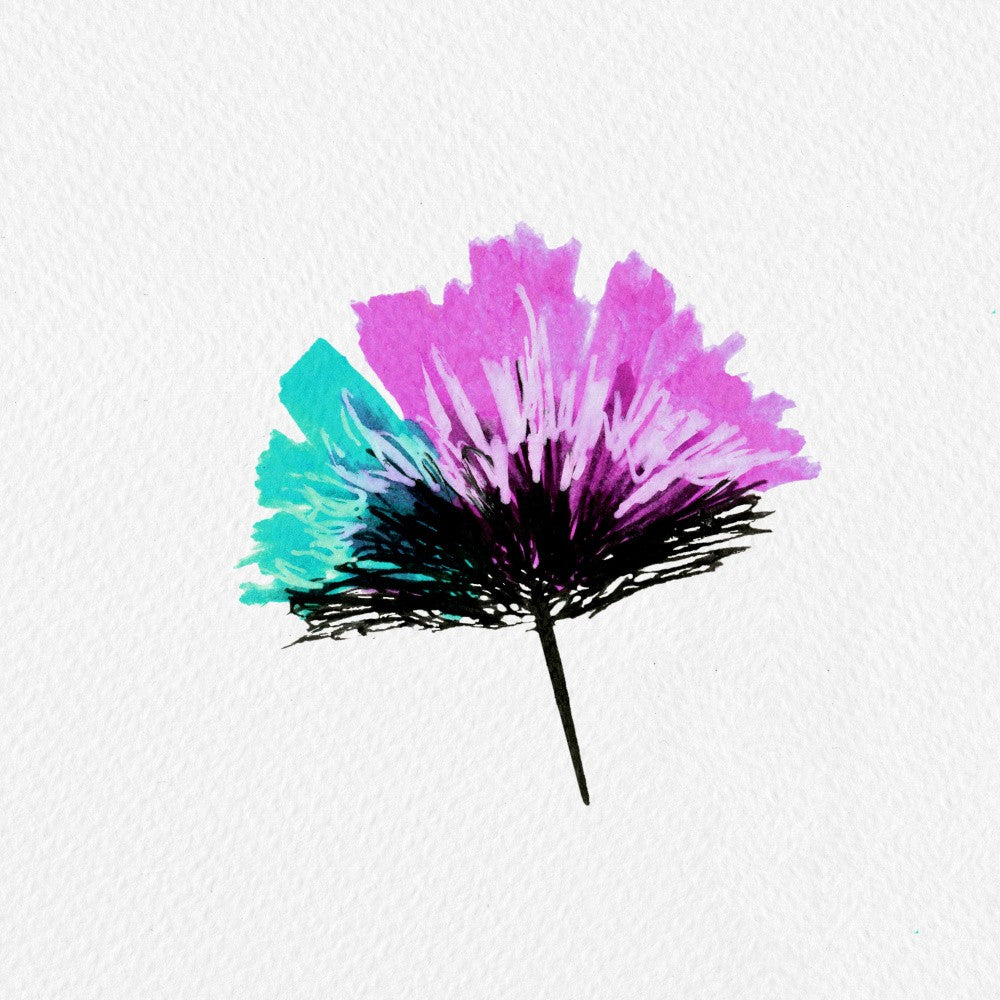 Single Feathery Flower Mint Lavender