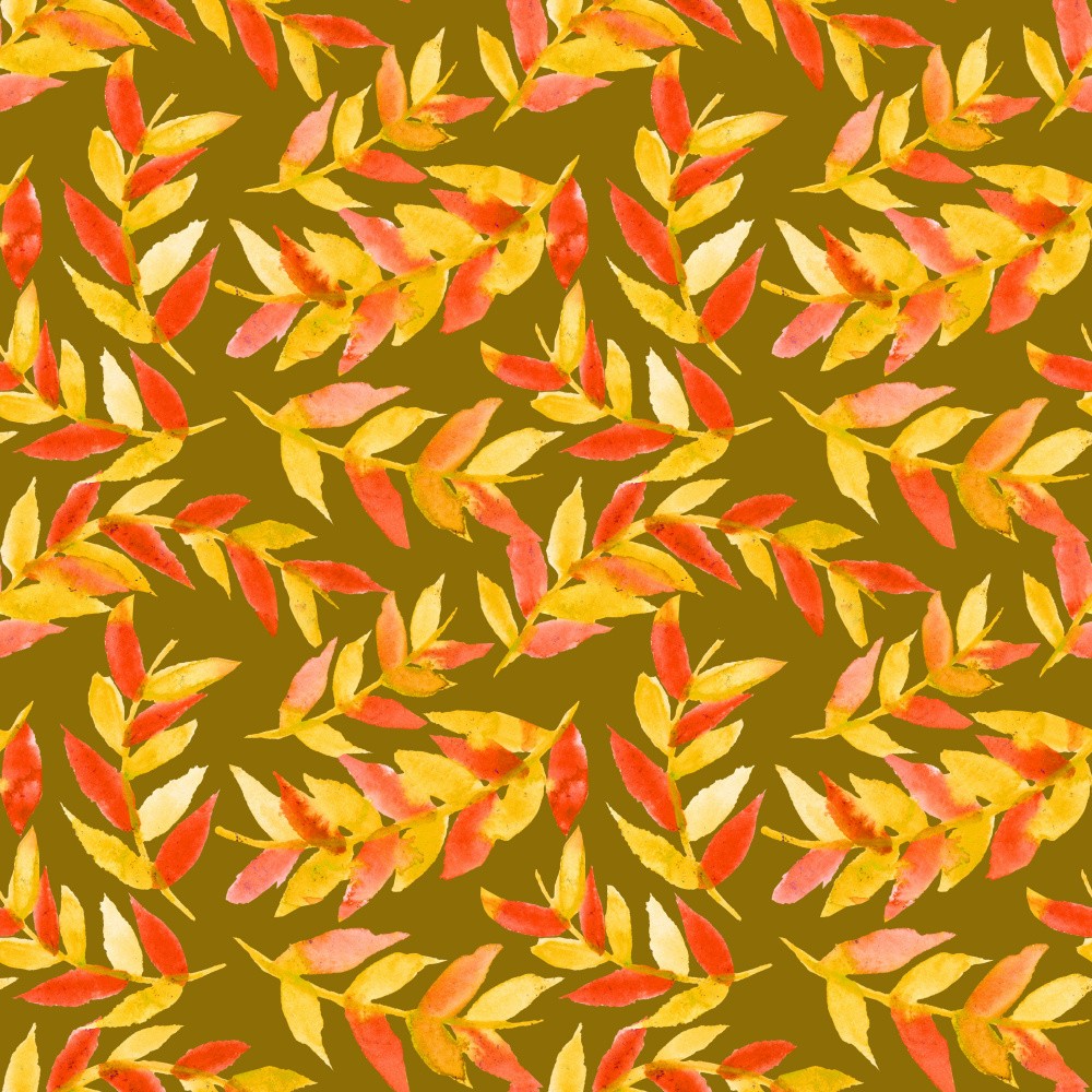 Leaves Curved Yellow Orange On Olive