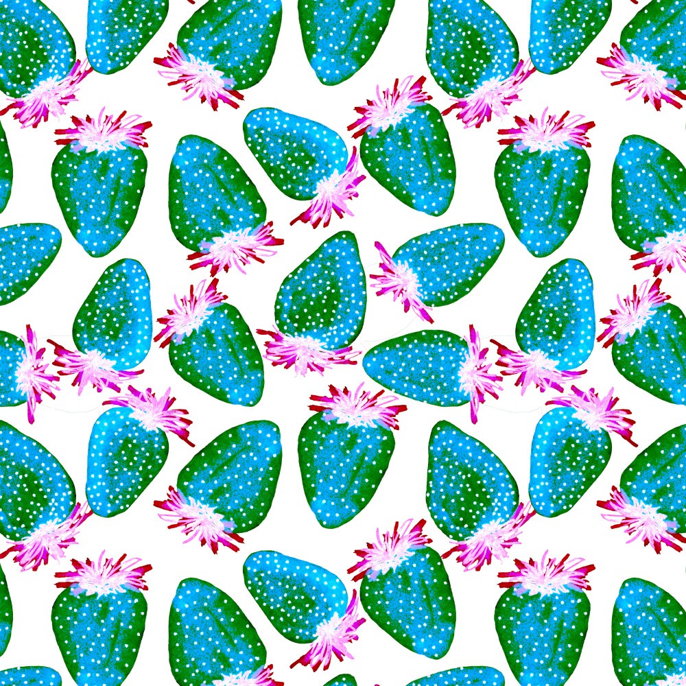 Teal Green Strawberries Fruit