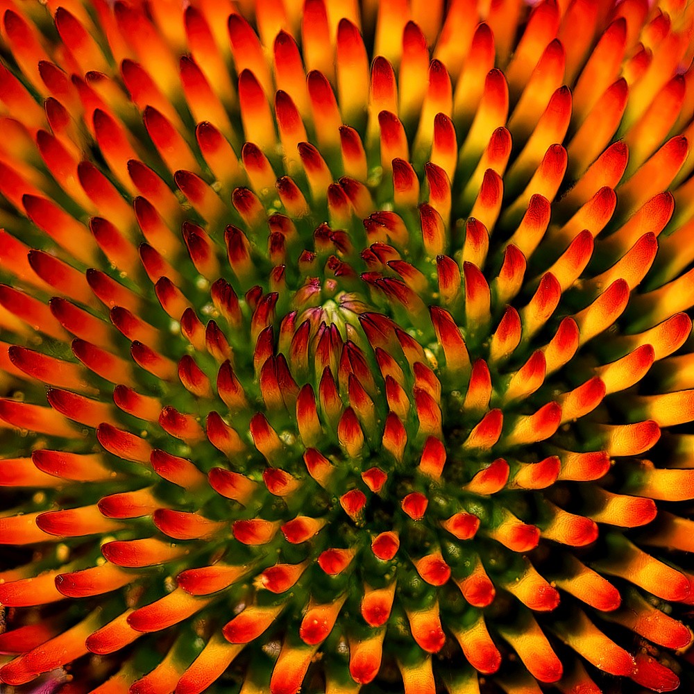Together as One