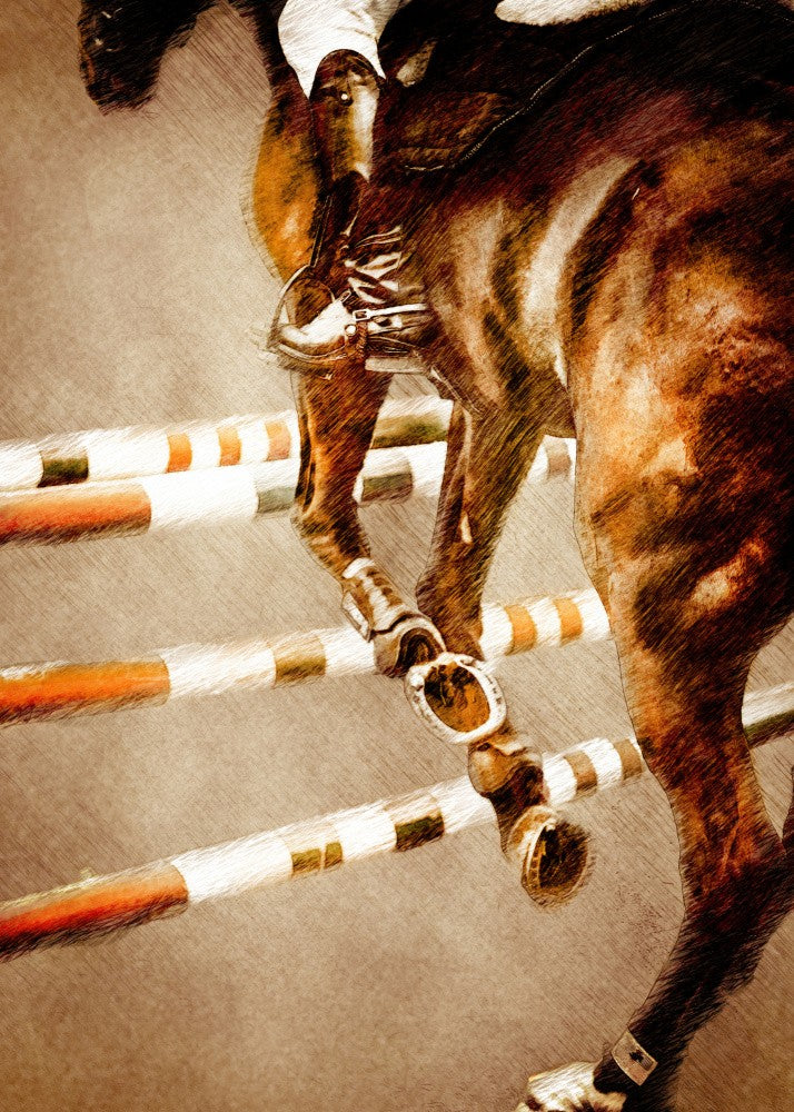 Horse Riding Sport Art (5)