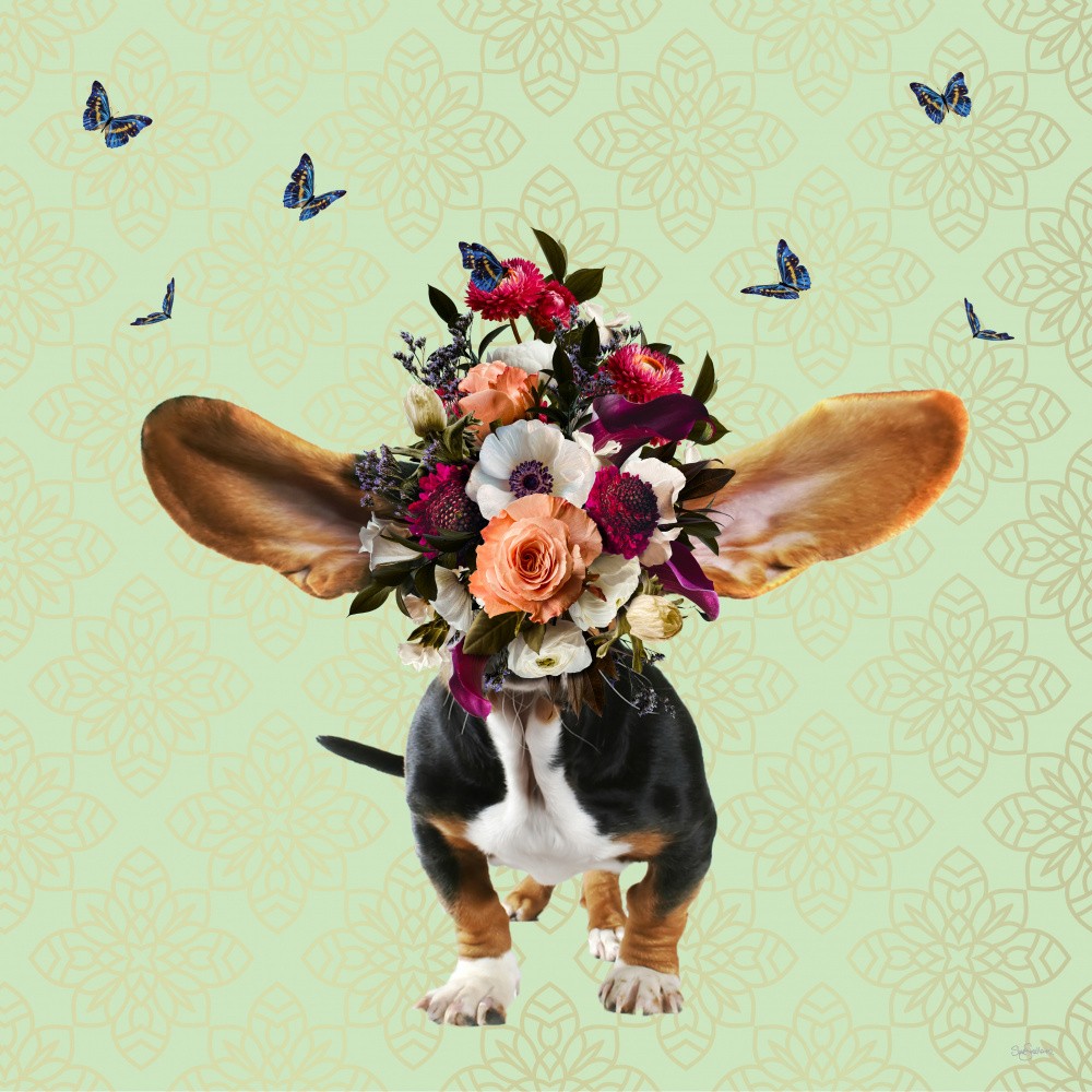 Spring Flower Bonnet On Doggy