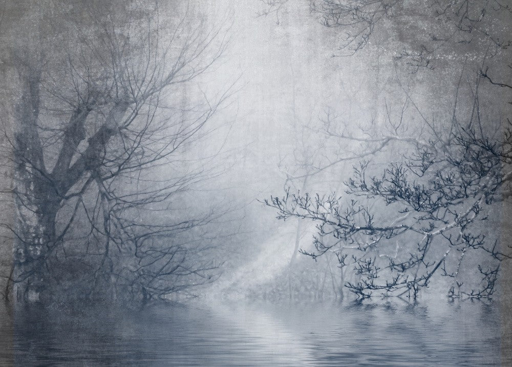 Foggy day