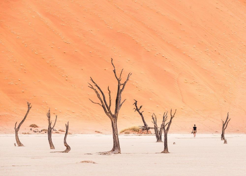 Walking in deadvlei