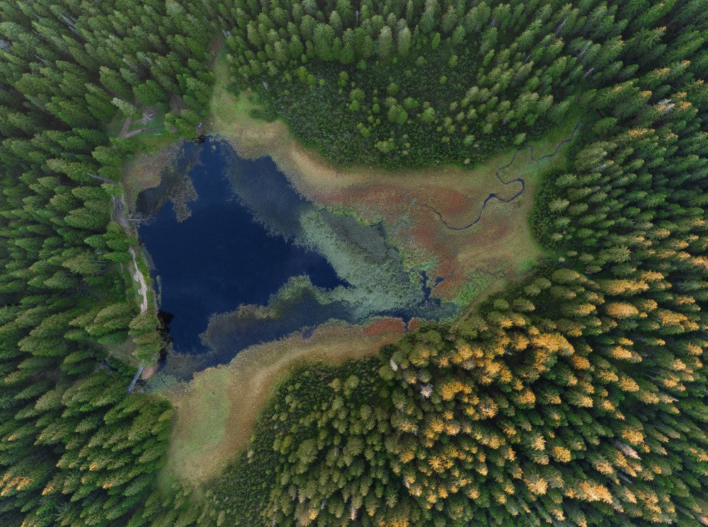 Black Lake, Slovenia