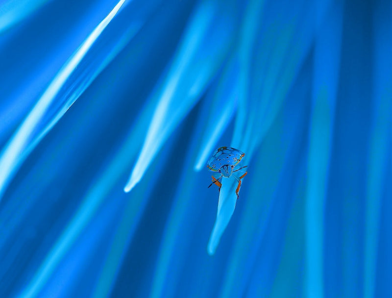 Journey into the unknown...