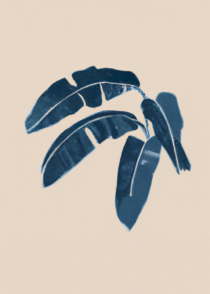 Palme Indigo