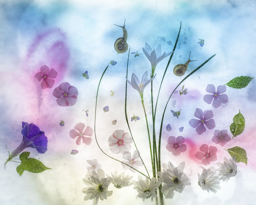 september blue poetry