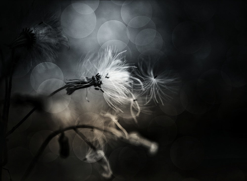 blowing the season