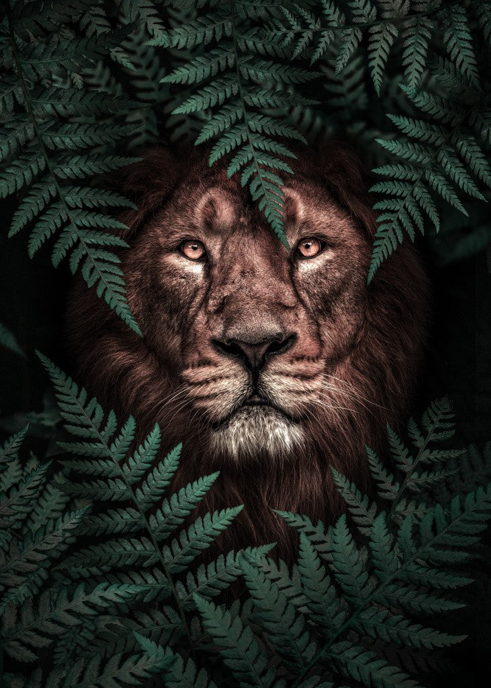The Lion King