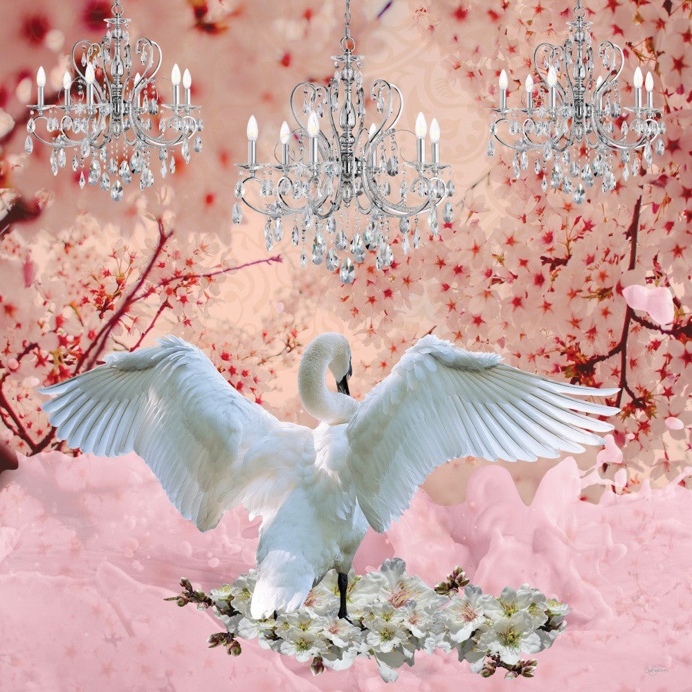 Champagne Swan