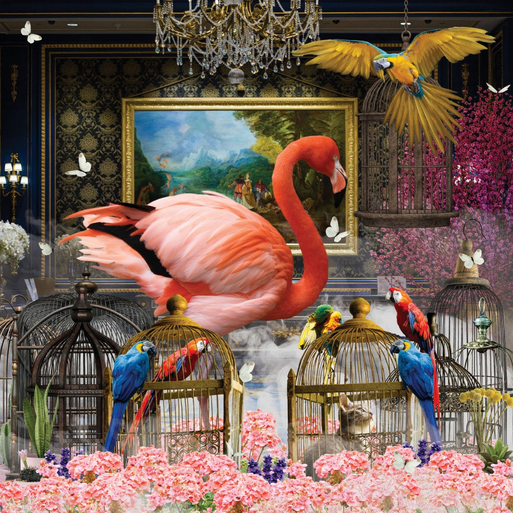 Hey, Flamingo Blue &amp; Parrots