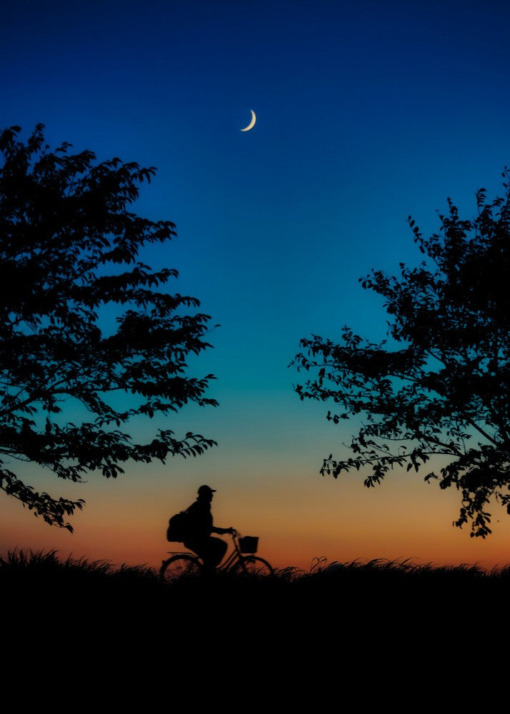 WANT TO RIDE BICYCLE IT WHERE I LIKE