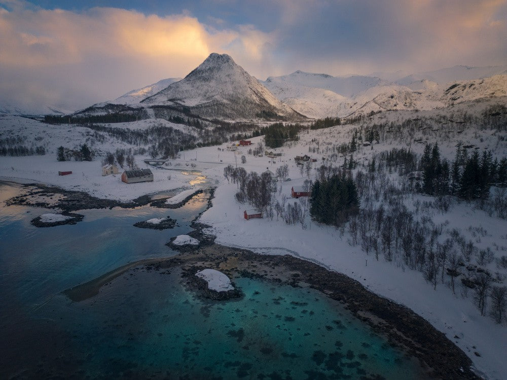 Arctic