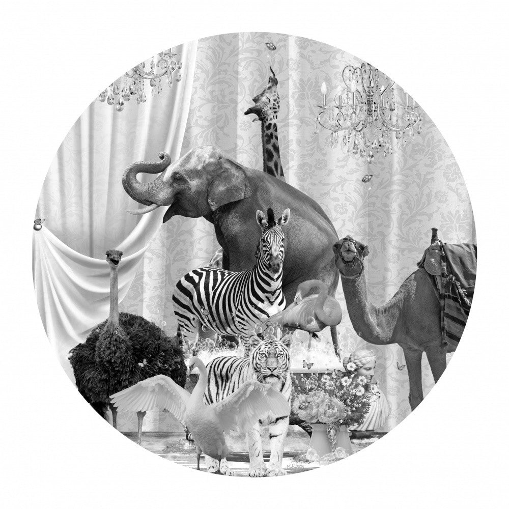 All Together & Bubbles Black & White