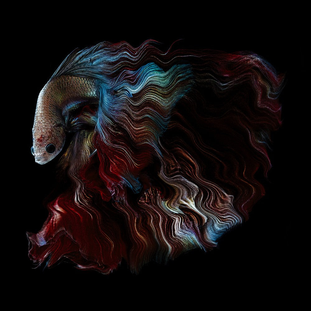 DARK KNIGHT