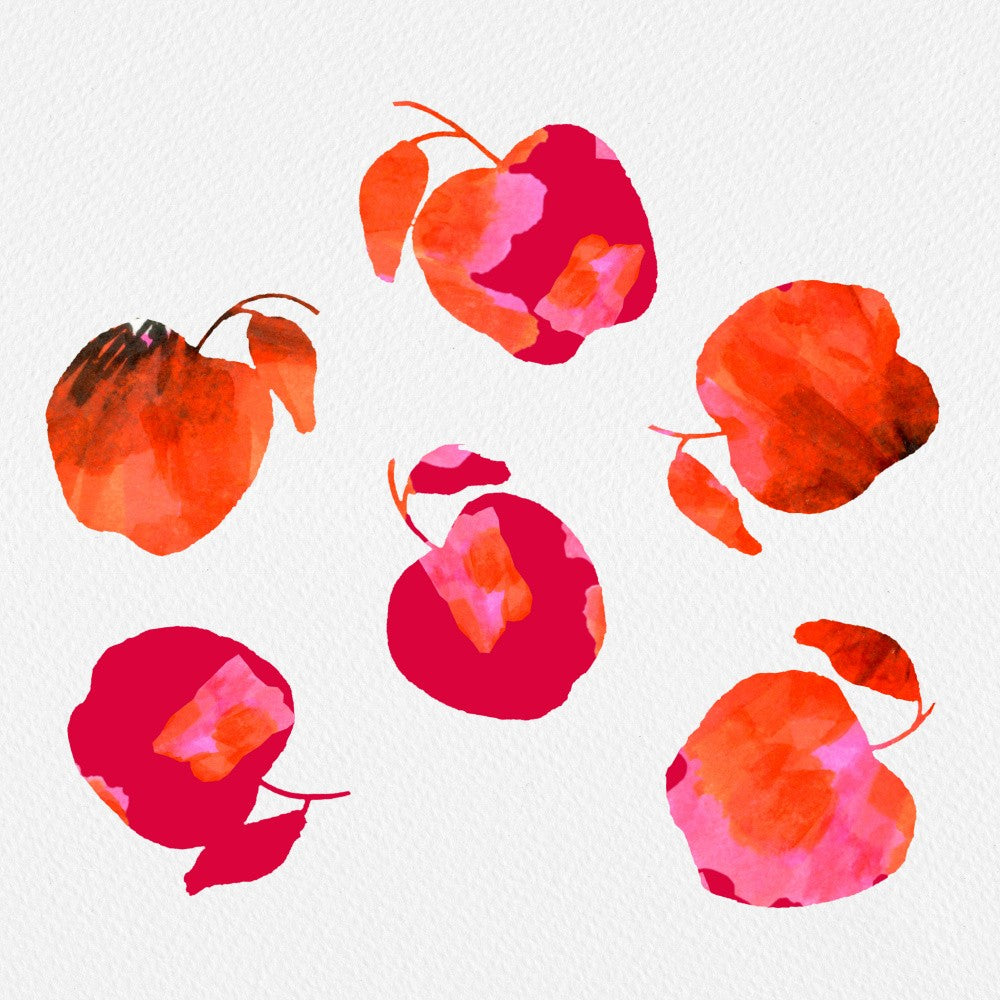 Apple  Chiffon Pink Orange
