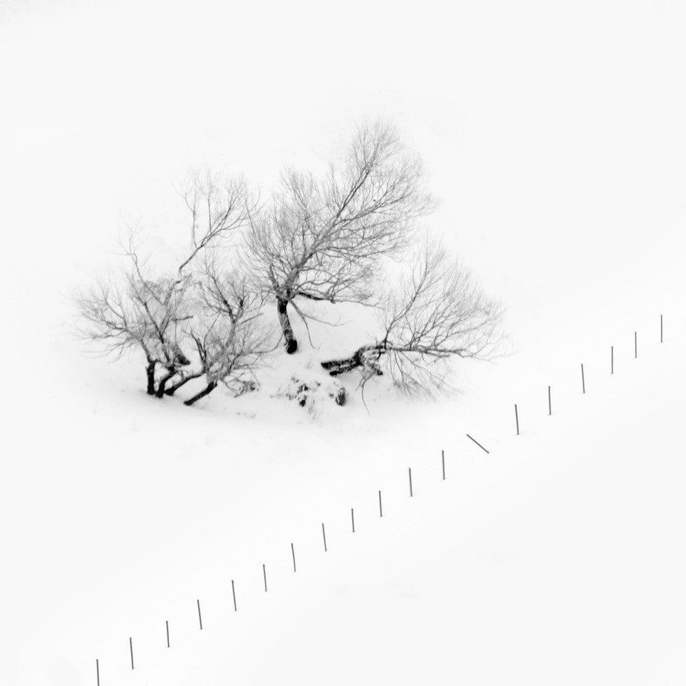 Poems of silence
