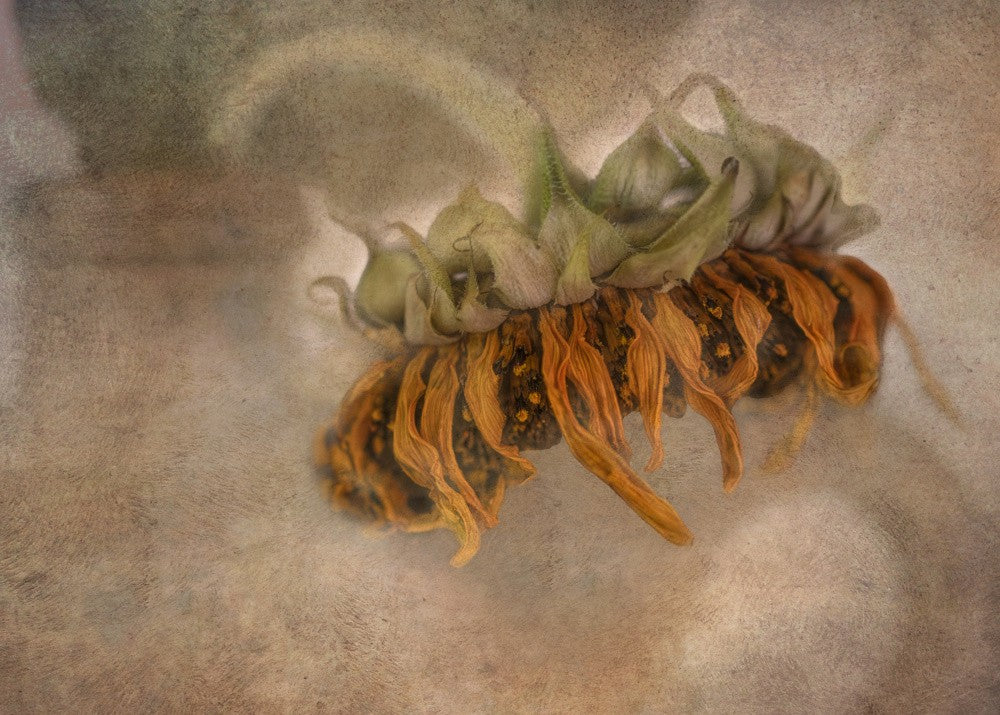 Decay