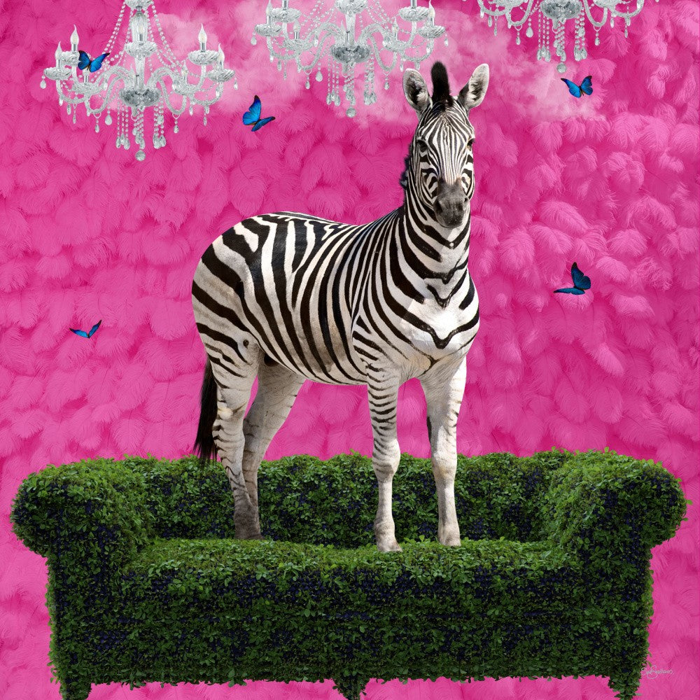 Freigeistiges Zebra auf einem grünen Sofa