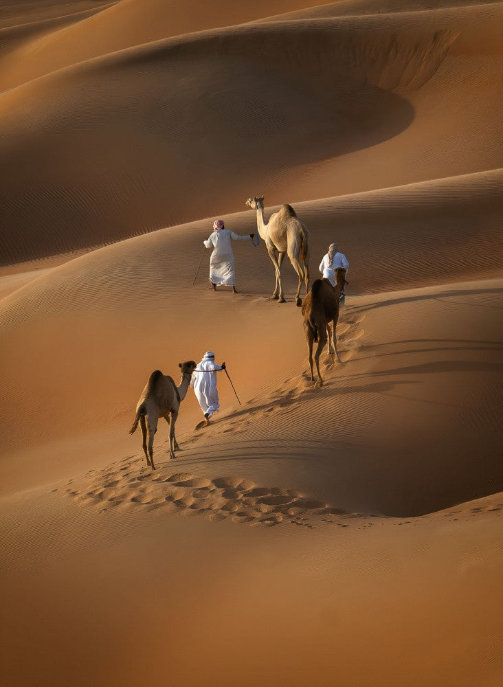 Liwa desert