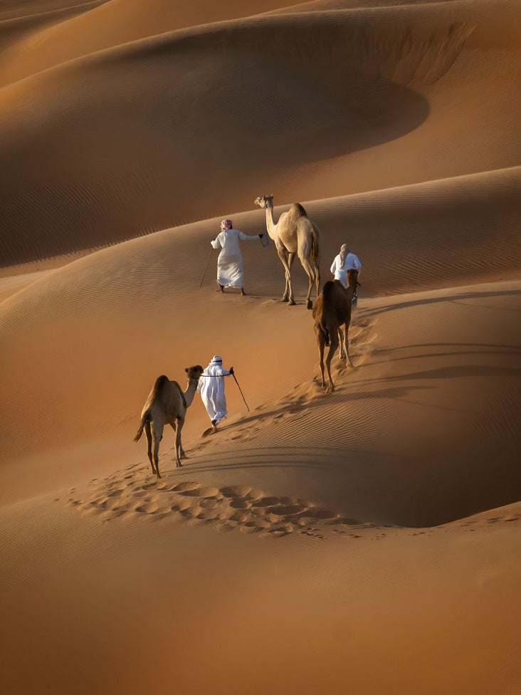 Liwa desert