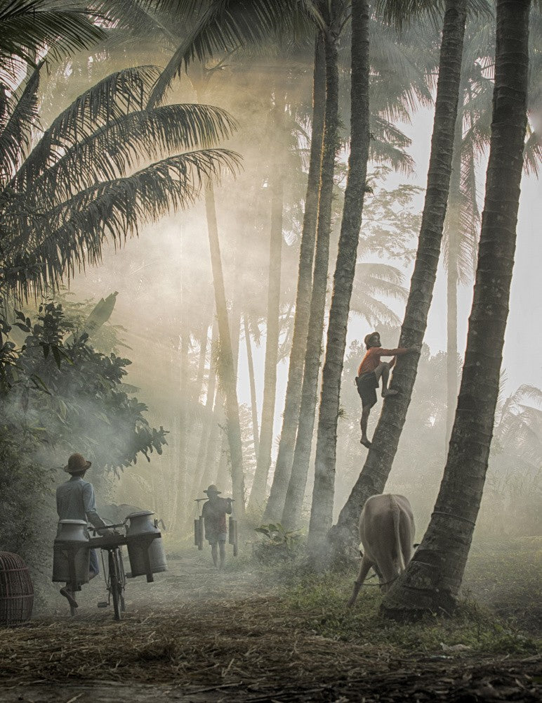 Life in Blitar Village