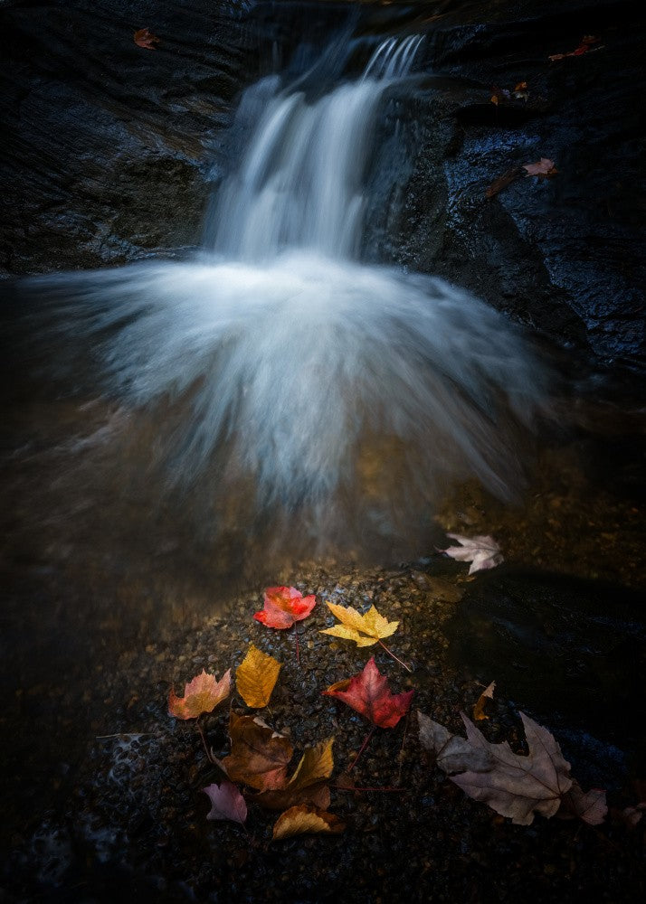 Herbstzauber