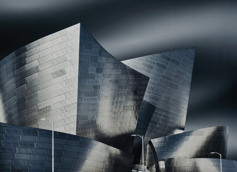 Walt Disney Concert Hall - Los Angeles