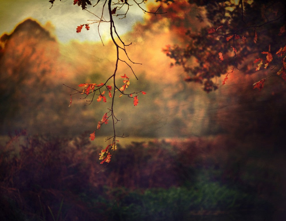 Autumn Thoughts...