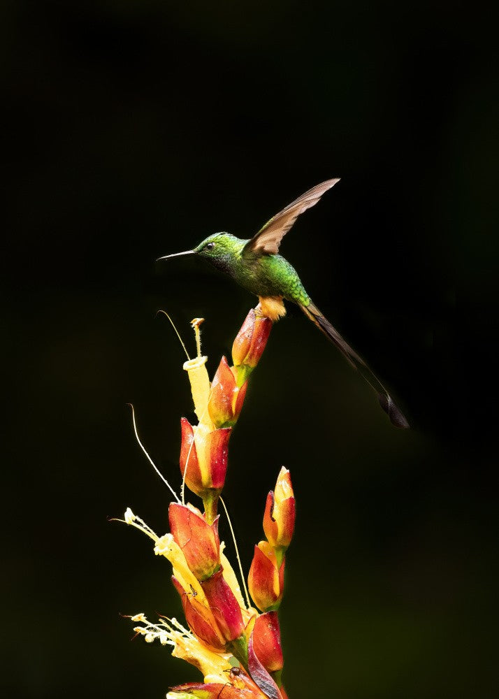 Before the take off