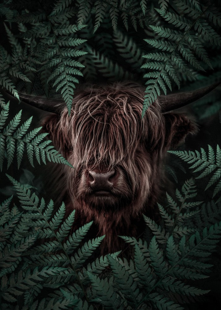 Yak Cow