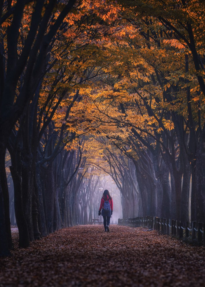 Lonely