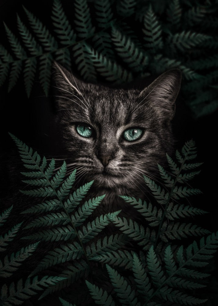 Green Eyes Cat With Ferns