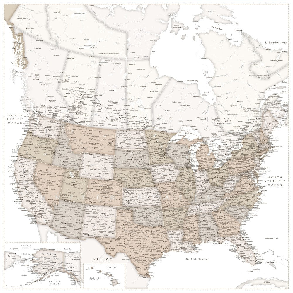 Highly detailed map of the United States, Louie