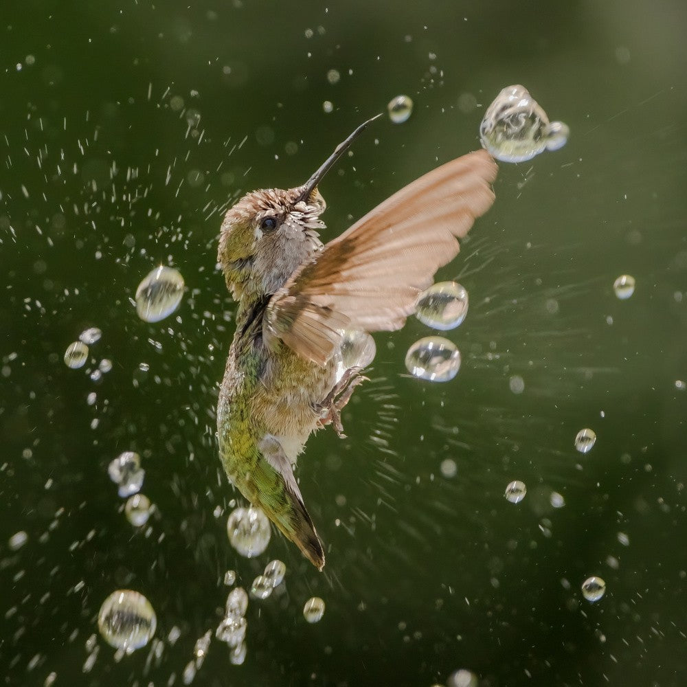 L'éclatement des gouttes d'eau
