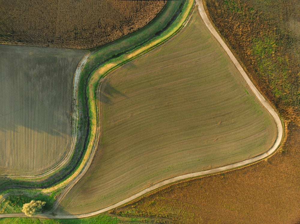 Drava fields
