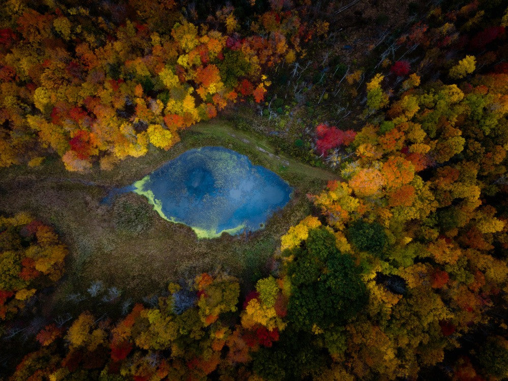 The Eye of Autumn