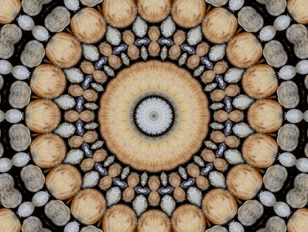 Wood art