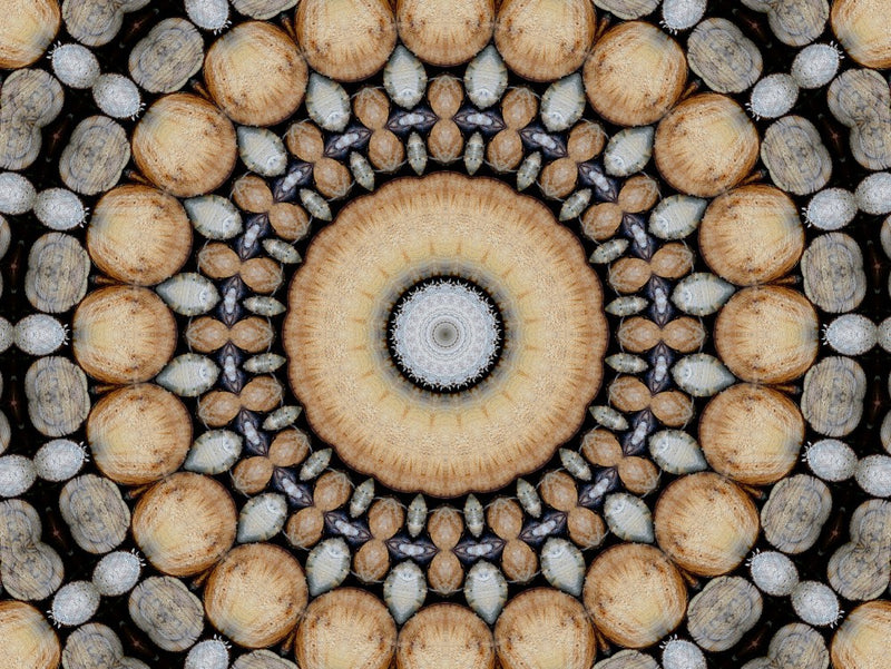 Wood art